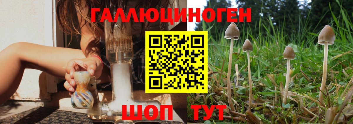 Галлюциногенные грибы GOLDEN TEACHER Отрадное